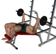 Barbell Press - Decline Reverse Wide Grip